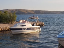 Kustići